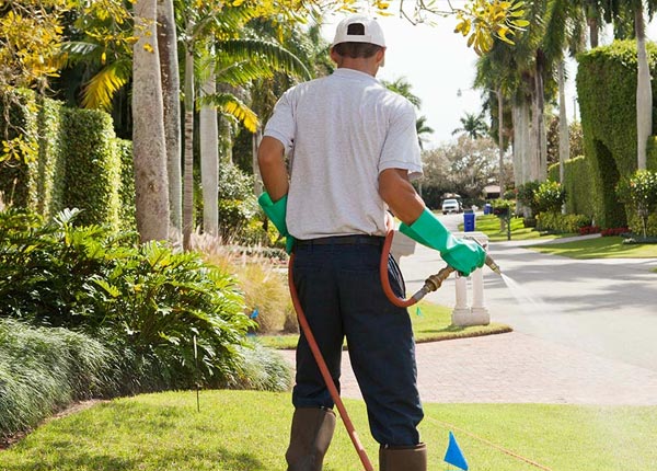 About Lewis KS Pest Control